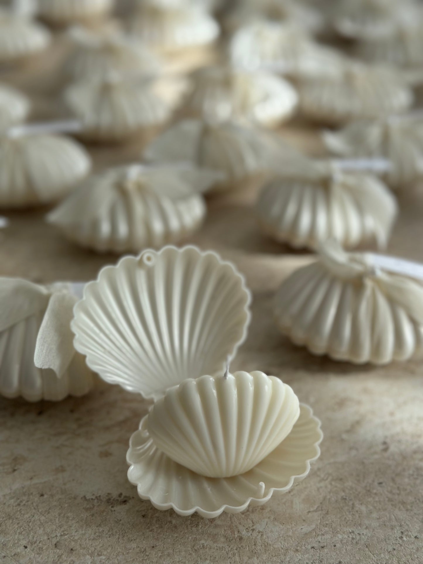 Muschelkerzen-Geschenke